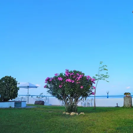 Poseidon Seaview * Afytos